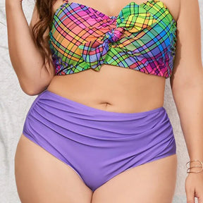 Plus size plaid print bikini